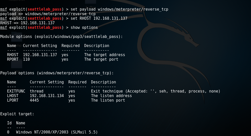 Exploiting Software Based Vulnerabilities : Attacking Network - Pentesting Network