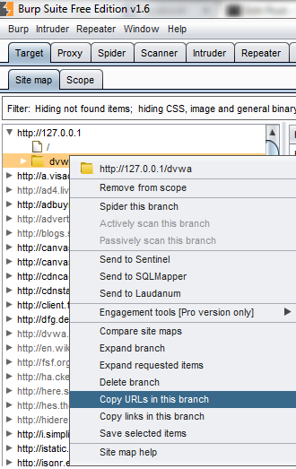 Testing Of Broken Session Management & Authorization By Burp